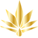 Bloom & Blaze