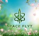Space Flyt - DTLA