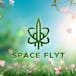 Space Flyt - DTLA