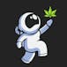 Moonwlkr Cannabis