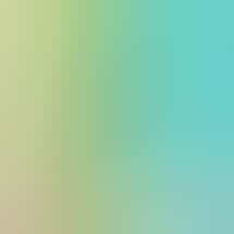 Culture Cannabis Club