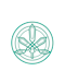 FivePoint Cannabis 1st Street