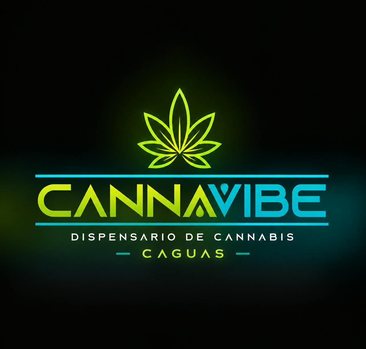 Cannavibe Caguas