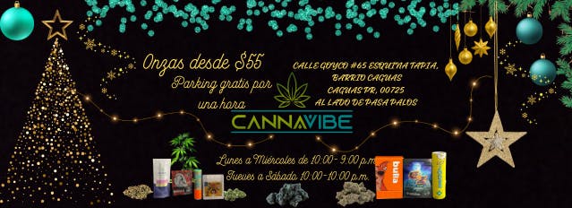 Cannavibe Caguas listing banner