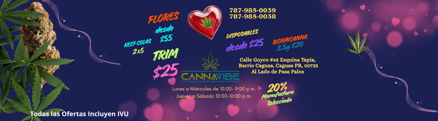 Cannavibe Caguas listing banner