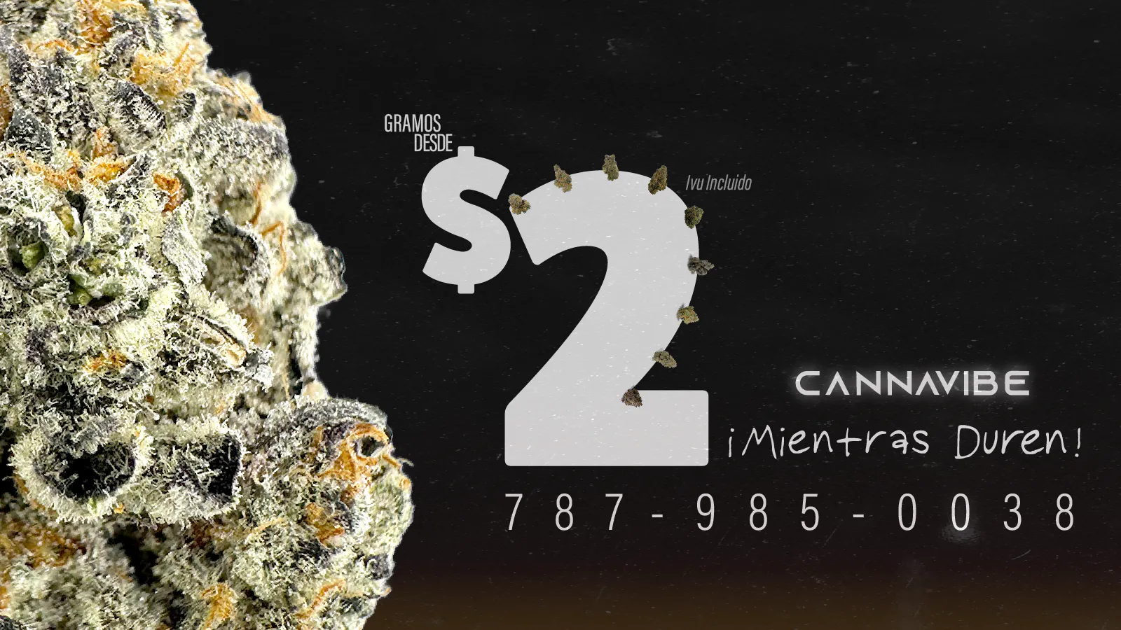 Cannavibe Caguas listing banner