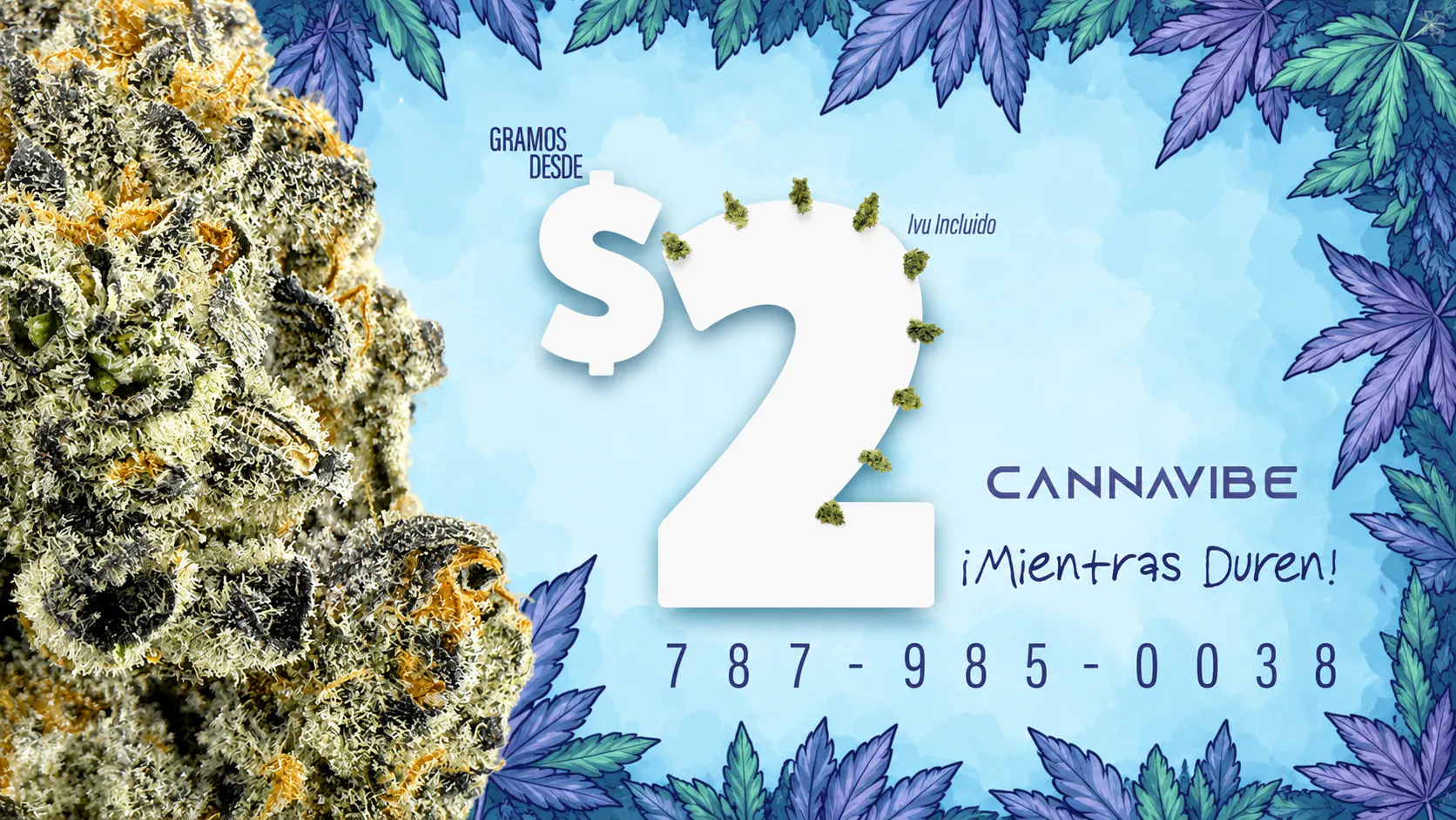Cannavibe Caguas listing banner