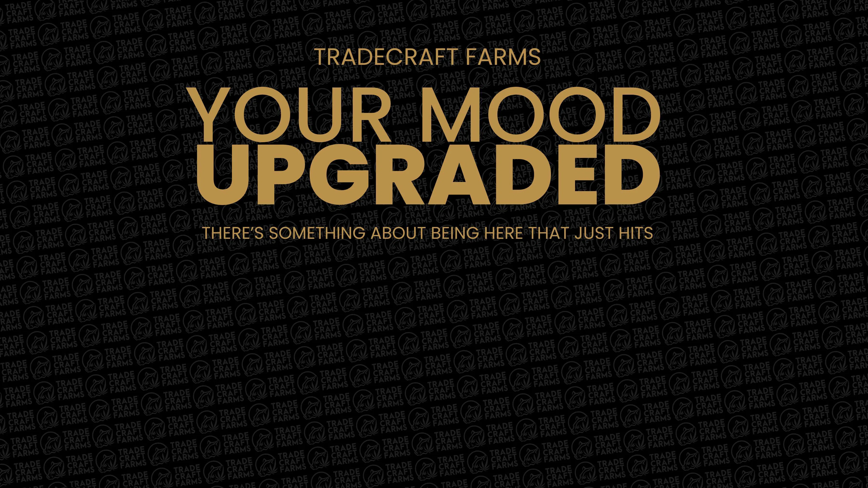 Tradecraft- Lancaster listing banner