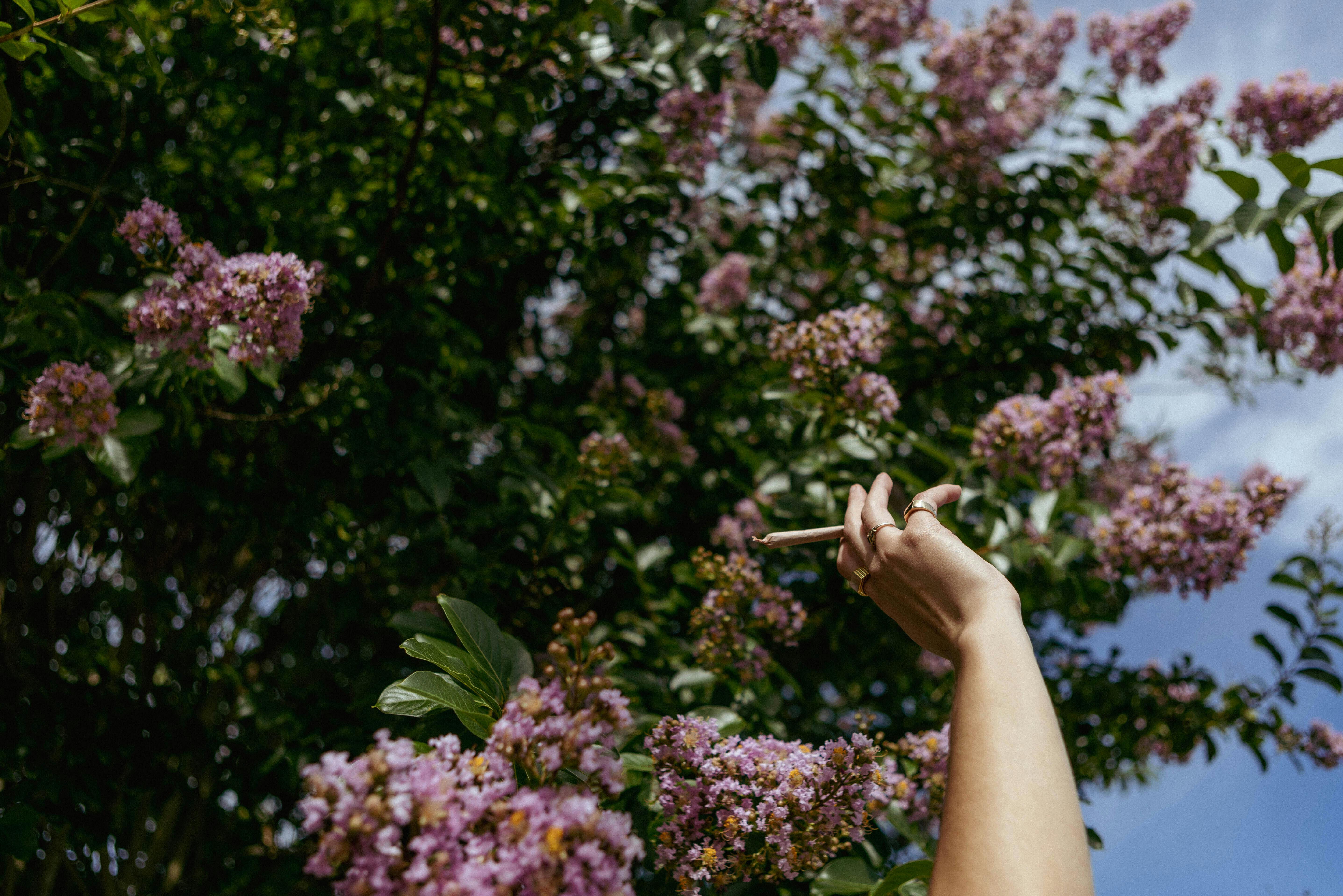 Pure Blossom listing banner
