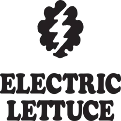 Electric Lettuce - Damascus