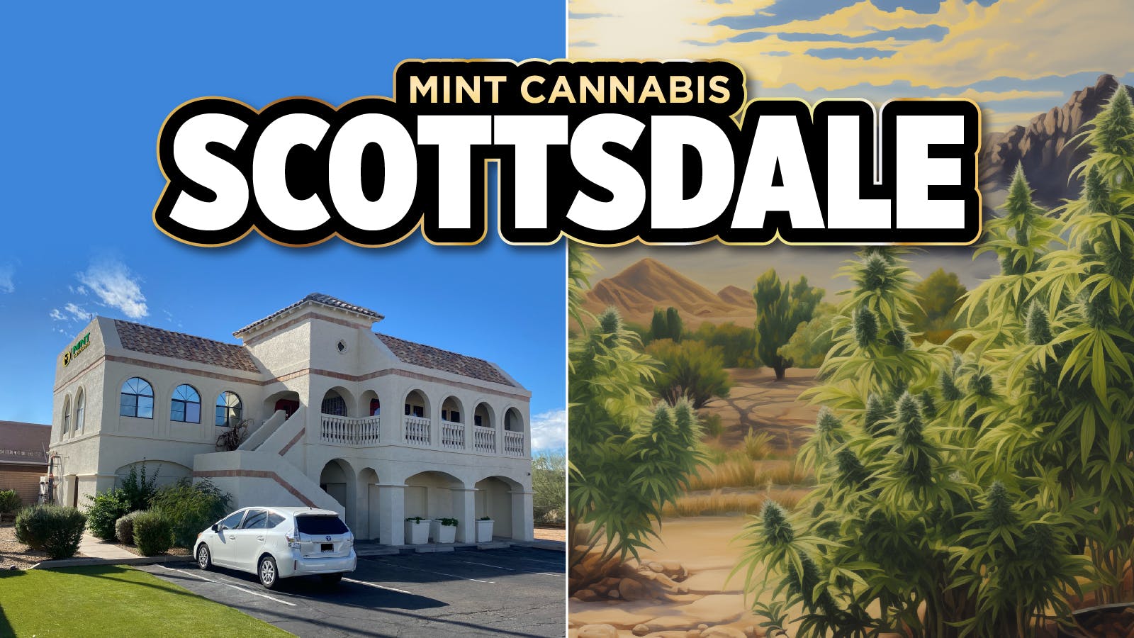 The Mint Cannabis - Scottsdale listing banner