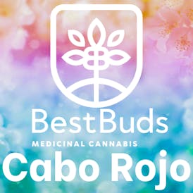 Best Buds - Cabo Rojo NOW OPEN!