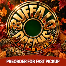 Buffalo Dreams