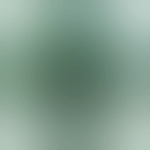 Kudzu Cannabis Company