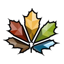 Five Seasons Cannabis Company