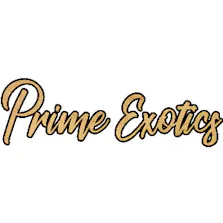 Prime Exotics Dispensary