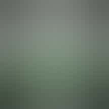 Green Truck - Sanford