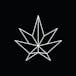 Shinybud - 1500 Main St. E Hawkesbury