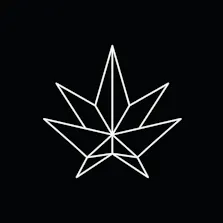 ShinyBud - Lancaster