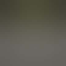 FIVE BUDS CANNABIS CO.