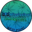 Mississippi Magnolia Canna - West Point
