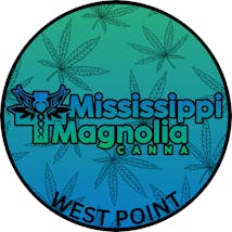 Mississippi Magnolia Canna - West Point