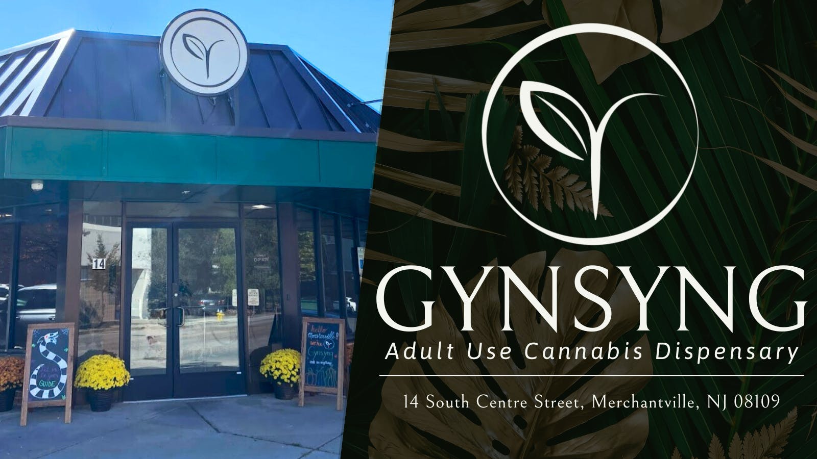 Gynsyng listing banner