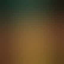 Jombo's Island Style Dispensary