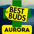 Best Buds - Aurora DIA