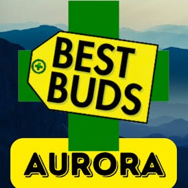 Best Buds - Aurora DIA