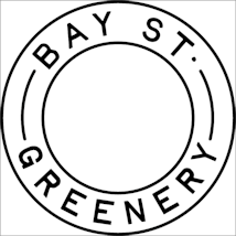 Bay Street Greenery