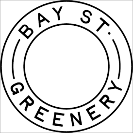 Bay Street Greenery