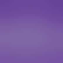 Purple Lotus - Downtown San Jose