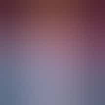 Vice Cannabis Dispensary - Congress St.