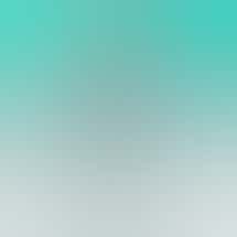 The Cake House - Santa Rosa