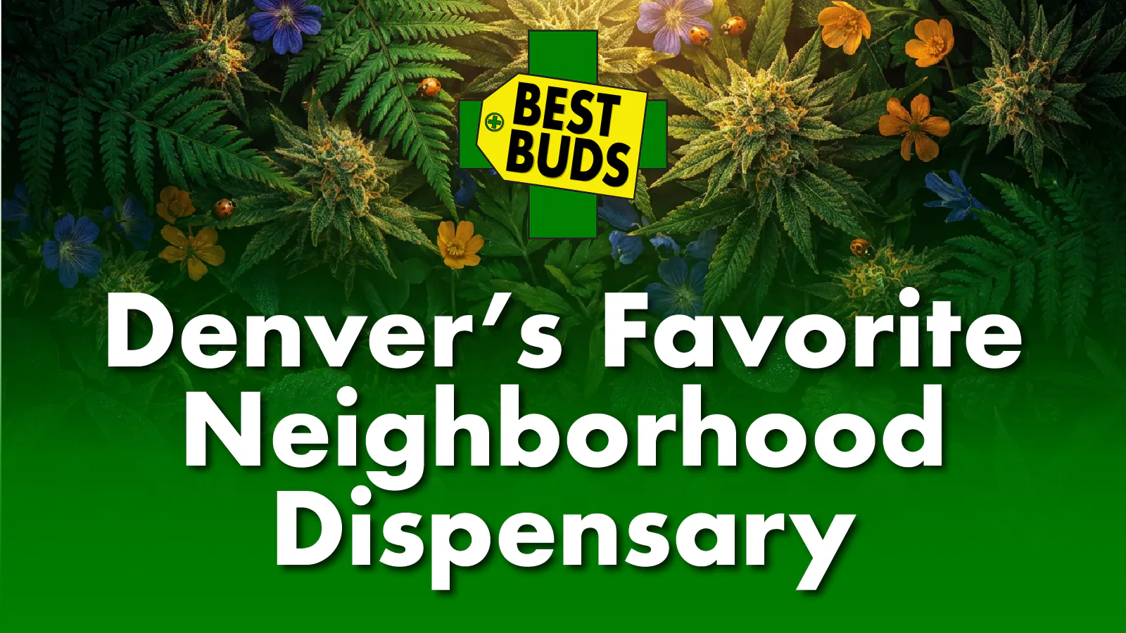 Best Buds - Rino District listing banner