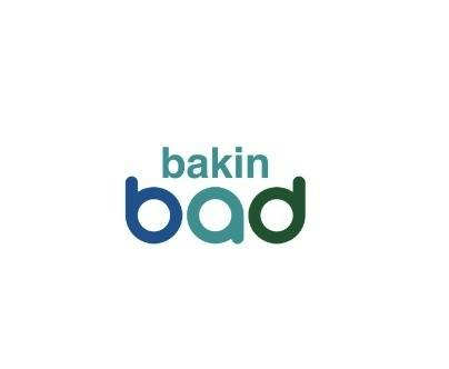 Bakin Bad LLC