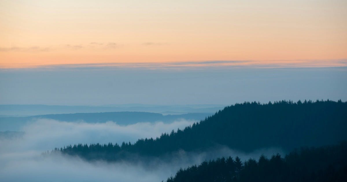 Goldenhour Collective listing banner