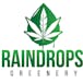 RainDrops Greenery Dispensary & Cultivation