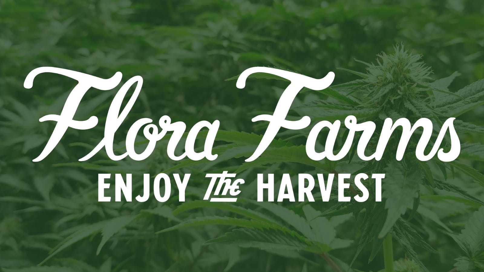 Flora Farms - Stateline listing banner