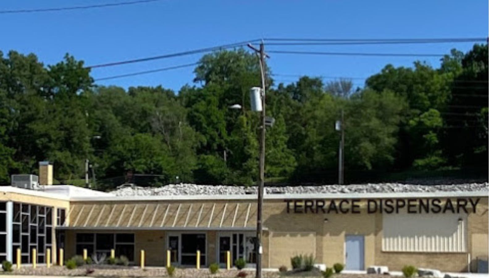 Terrace Cannabis - Alton listing banner