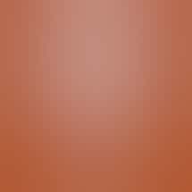 SLOCAL Roots - Grover Beach