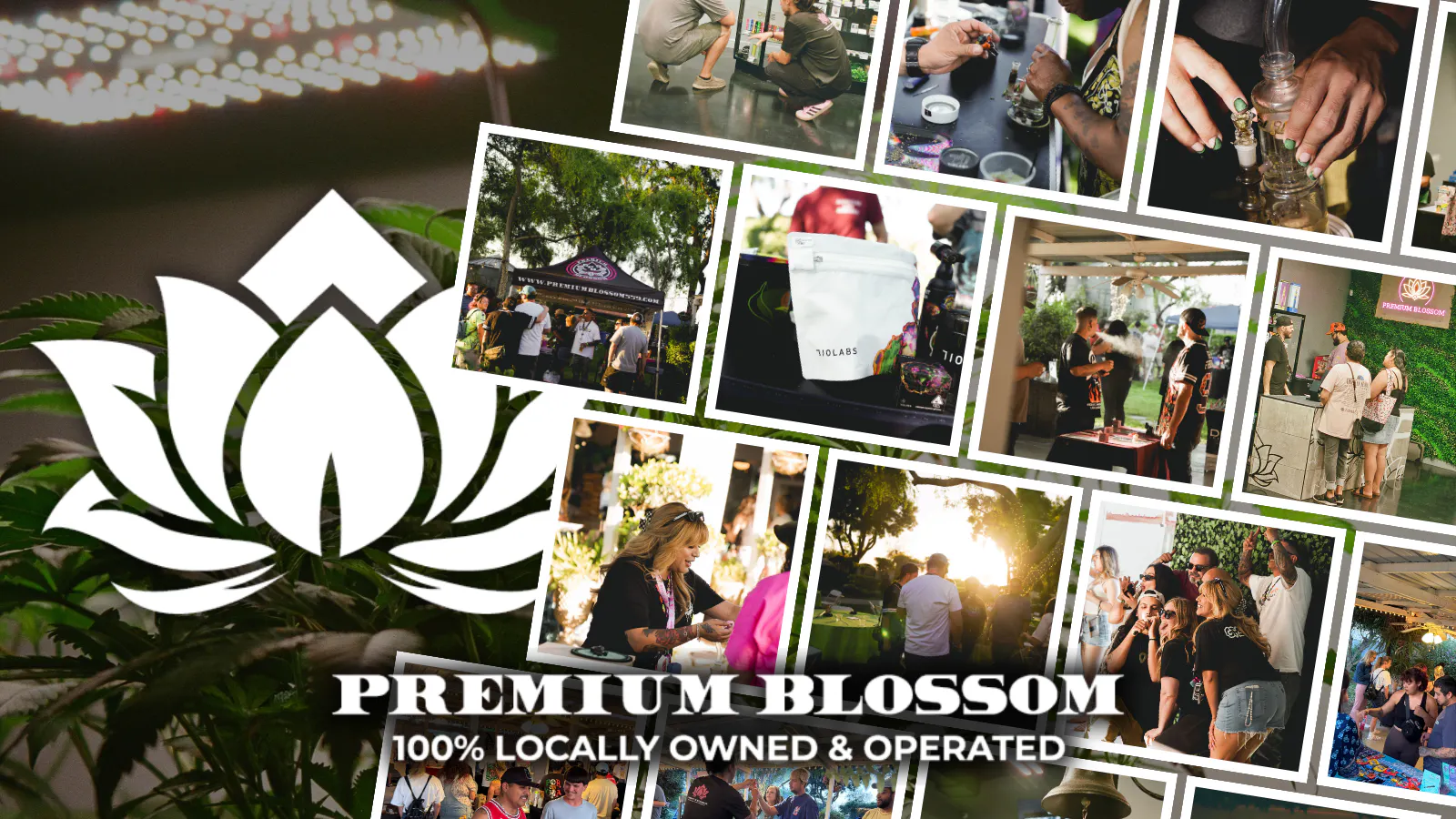 Premium Blossom listing banner