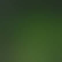 House of Green - South