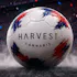 Harvest - Santa Monica