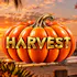 Harvest - Santa Monica