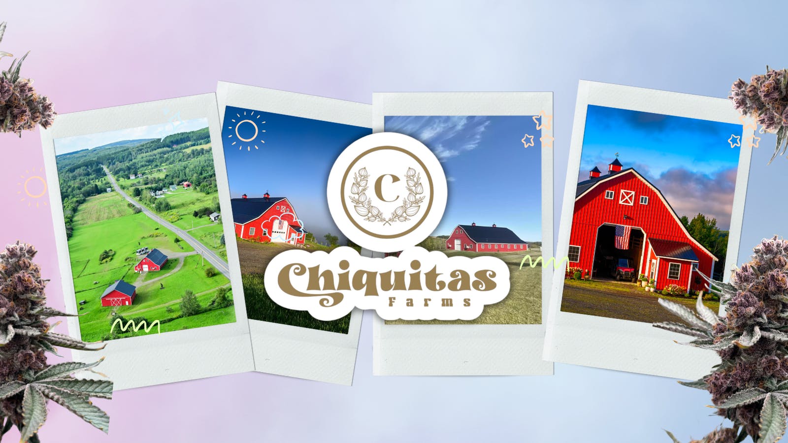 Chiquitas Farms *Appt. & Pickup Only* listing banner