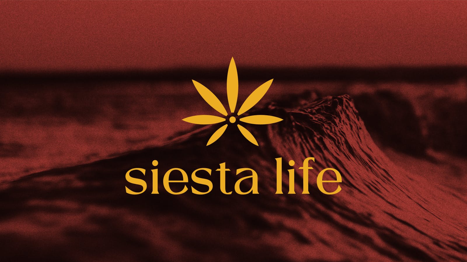 Siesta Life Encinitas listing banner