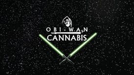 Obi-Wan Cannabis