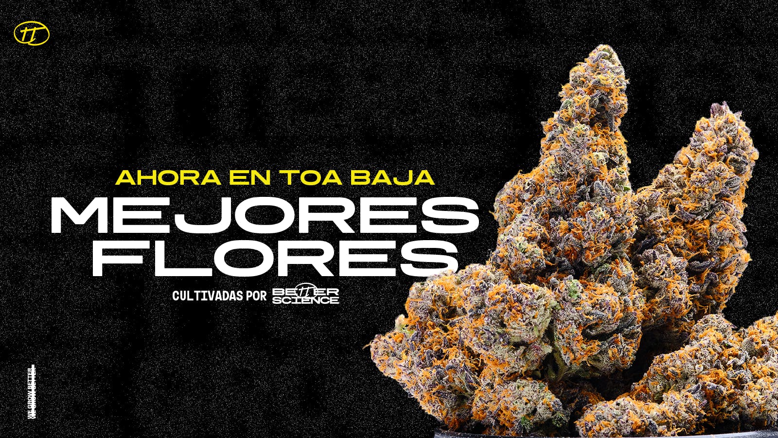 Better Science - Toa Baja listing banner